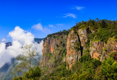 Ooty Weekend Tour