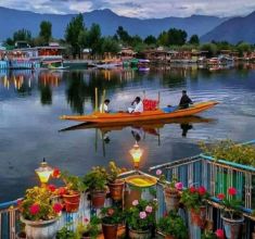 Srinagar Beauty below img1