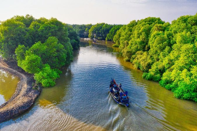 Sundarban Image 2