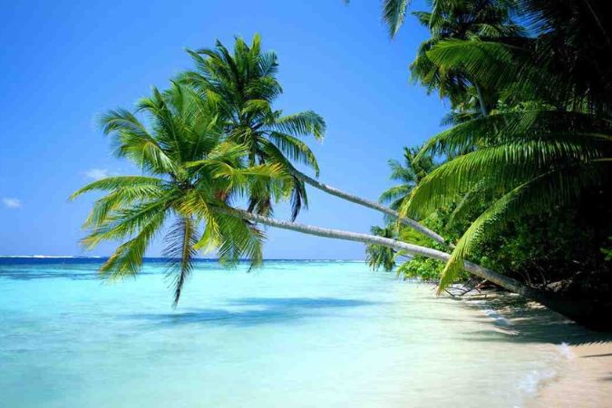 Andaman Package Image 2