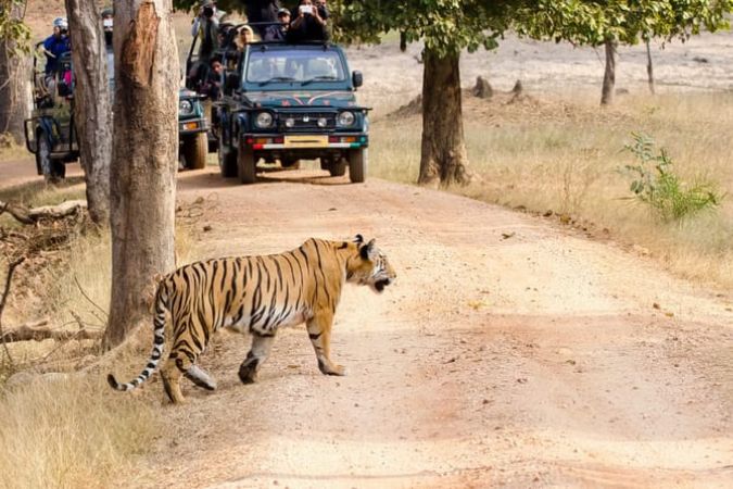 Madhya Pradesh Image 2