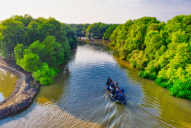 Kolkata & Sundarban Tour Packages
