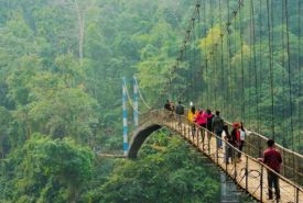 Meghalaya Package 1
