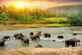 Kerala Package 2