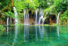 Wayanad Package