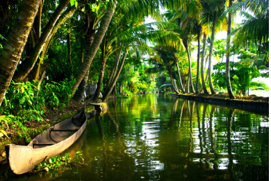 South India Cultural Tour