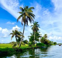 Kerala below img1