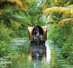 Kerala below img2