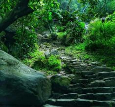 Kerala below img1