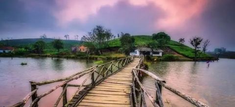 Kerala img ryt