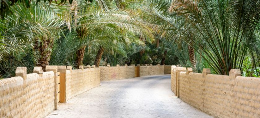 Al Ain Image 1