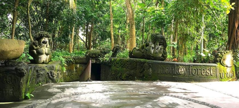 Bali Image 4