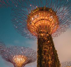 Singapore below img1