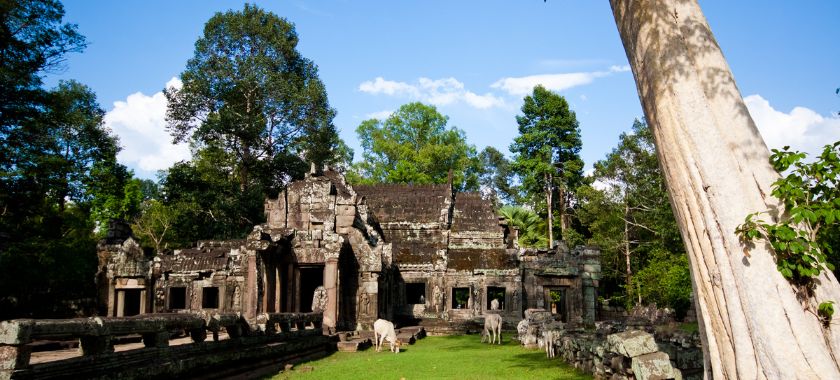 Cambodia Image 3