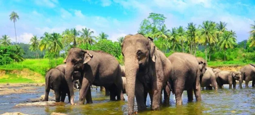 Sri Lanka Image 2
