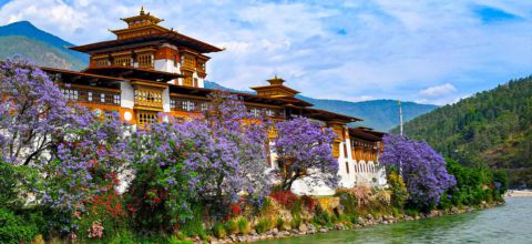 Bhutan img ryt